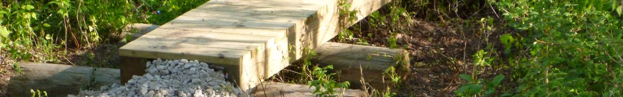 trail-img